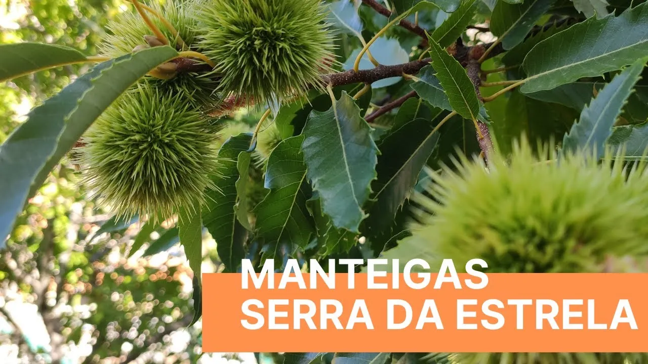 Miniatura do vídeo: Manteigas e Serra da Estrela em família: vale a pena?