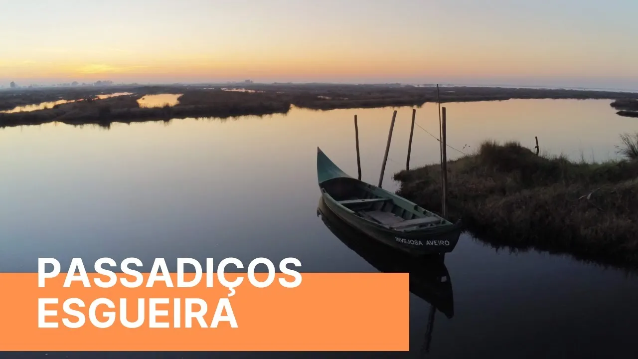 Miniatura do vídeo: Passadiços de Esgueira, Aveiro, imagens de drone